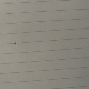 Meet your Posher, Jeet